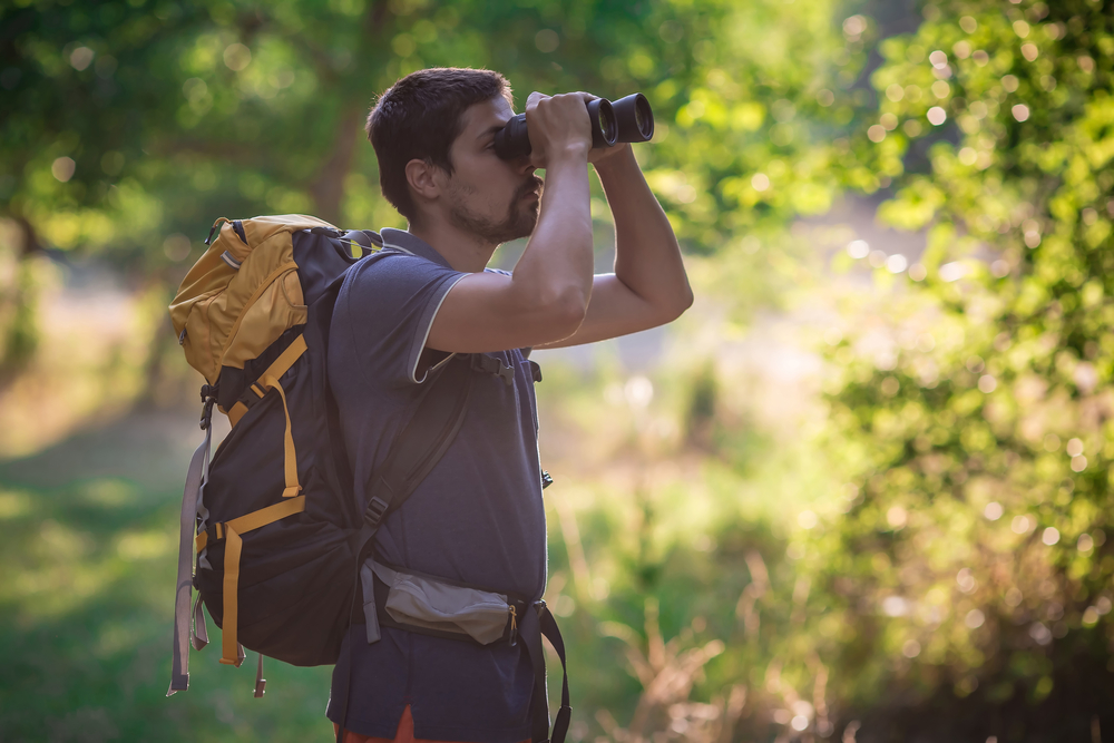 Go Bird Watching in Marymoor Park