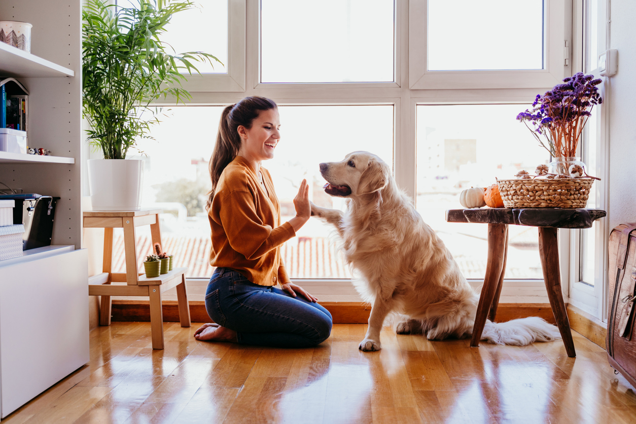 3 Excellent Pet Stores in Redmond