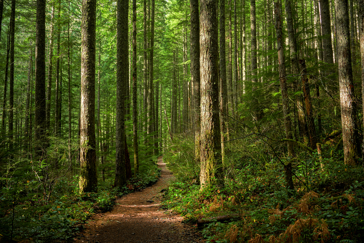 Enjoy Autumn at State Parks Near Redmond