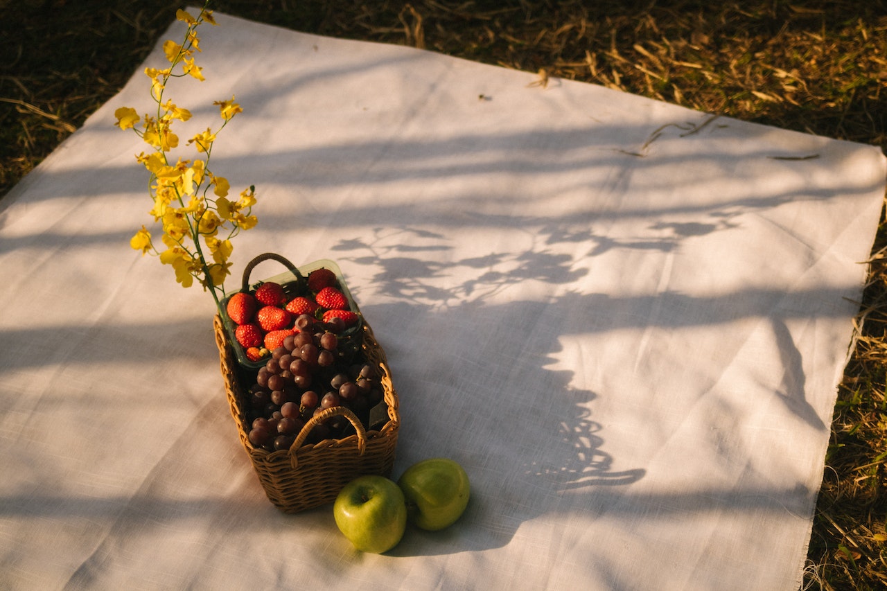 Enjoy the Outdoors at These Picnic Spots in Redmond